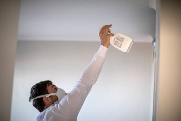 Best Certified Mold Removal  in Hurleyville, NY
