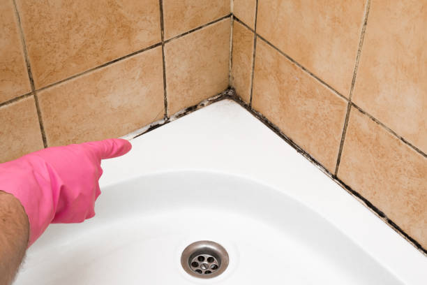 Best Affordable Mold Removal  in Hurleyville, NY